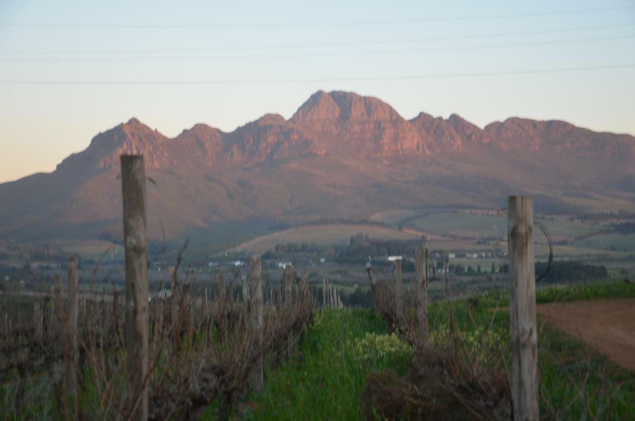 Art House Villa Stellenbosch Exteriör bild